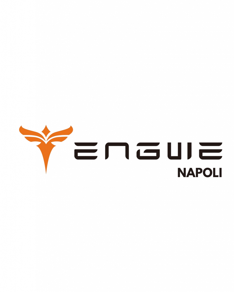 logo engwe napoli